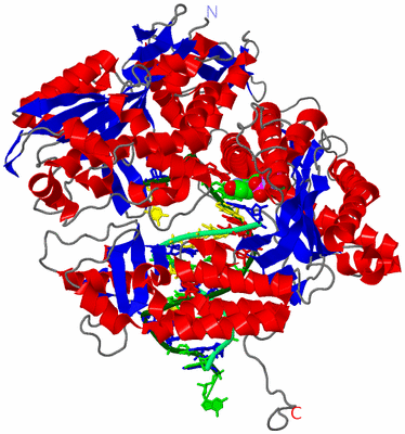 Image Asym./Biol. Unit