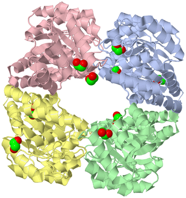 Image Asym./Biol. Unit