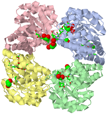 Image Asym./Biol. Unit - sites