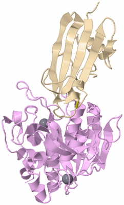 Image Asymmetric Unit