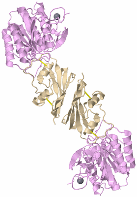 Image Biological Unit 1