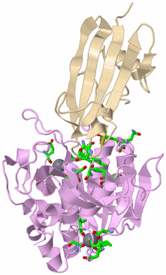 Image Asym. Unit - sites