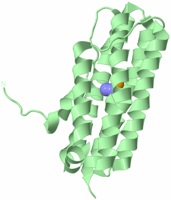 Image Biological Unit 2