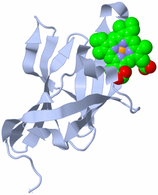 Image Biological Unit 1