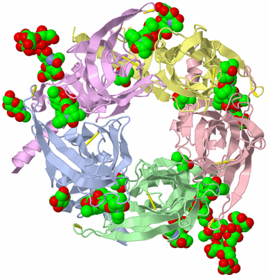 Image Biological Unit 1