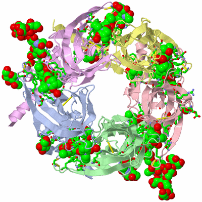 Image Biol. Unit 1 - sites