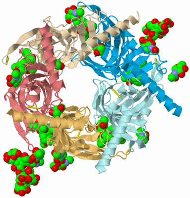 Image Biological Unit 2