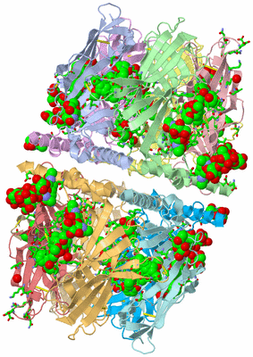 Image Asym. Unit - sites