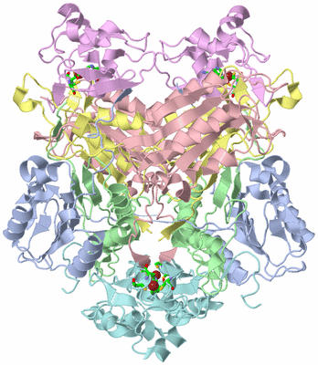 Image Biol. Unit 1 - sites