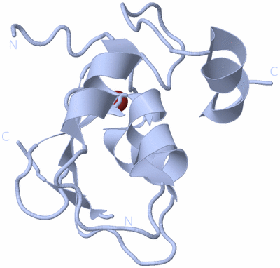 Image Biological Unit 1