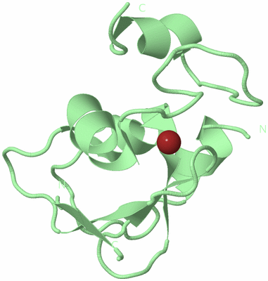 Image Biological Unit 2