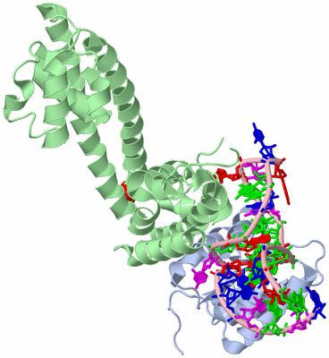 Image Biological Unit 1