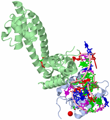 Image Biol. Unit 1 - sites