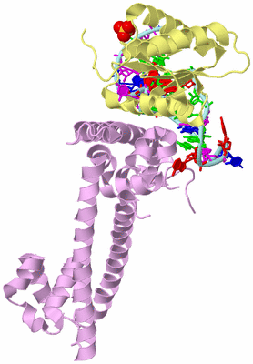 Image Biological Unit 2