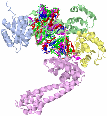 Image Biological Unit 1