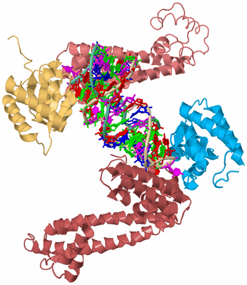 Image Biological Unit 2