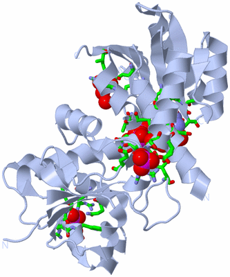 Image Biol. Unit 1 - sites