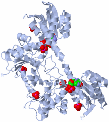 Image Biological Unit 2