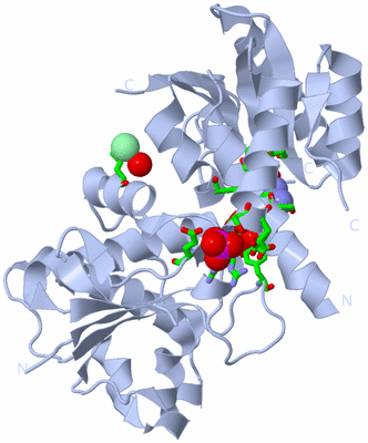 Image Biol. Unit 1 - sites