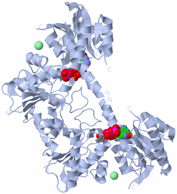 Image Biological Unit 2