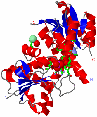 Image Asym. Unit - sites