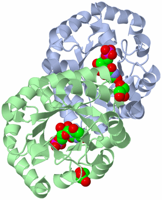 Image Asym./Biol. Unit