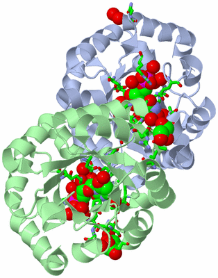 Image Asym./Biol. Unit - sites