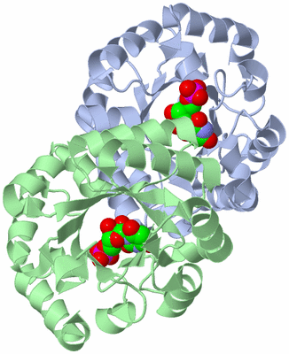 Image Asym./Biol. Unit