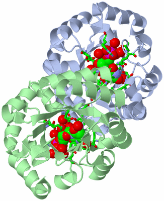 Image Asym./Biol. Unit - sites