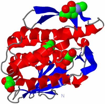 Image Asym./Biol. Unit