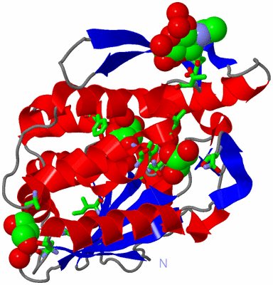 Image Asym./Biol. Unit - sites