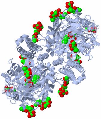 Image Biological Unit 1