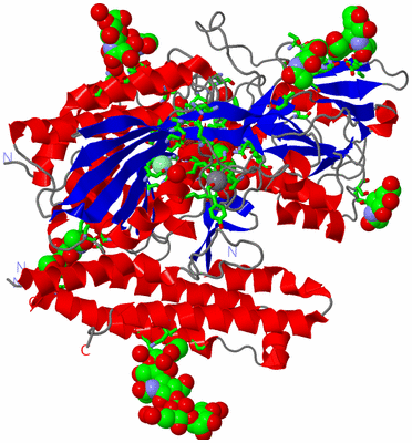 Image Asym. Unit - sites