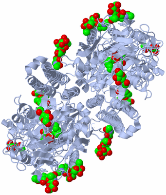 Image Biological Unit 1