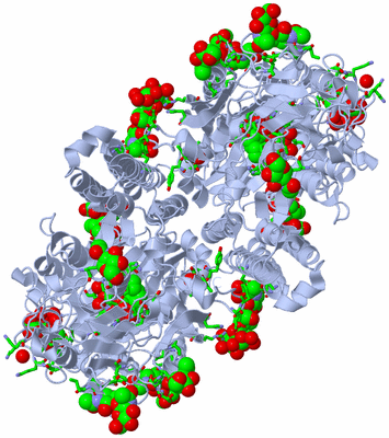 Image Biol. Unit 1 - sites