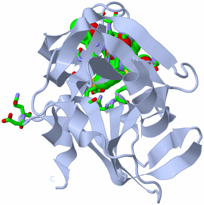 Image Biol. Unit 1 - sites