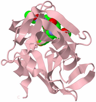 Image Biological Unit 3