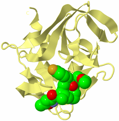 Image Biological Unit 4