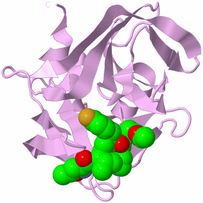 Image Biological Unit 5