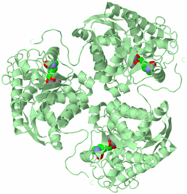 Image Biological Unit 2