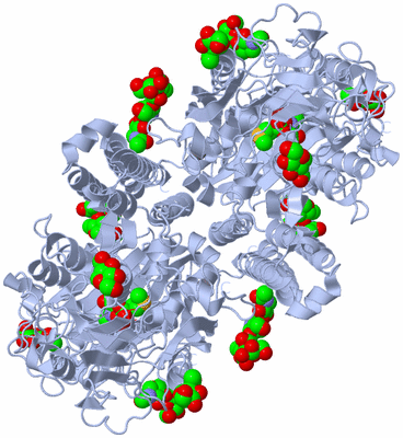 Image Biological Unit 1