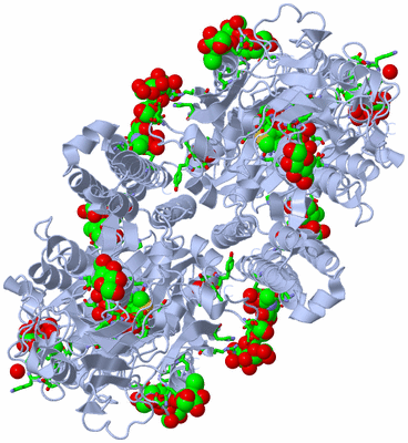 Image Biol. Unit 1 - sites