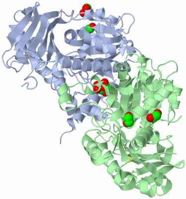 Image Asym./Biol. Unit