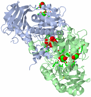 Image Asym./Biol. Unit - sites