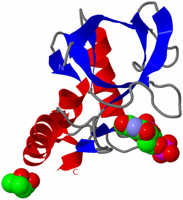 Image Asym./Biol. Unit