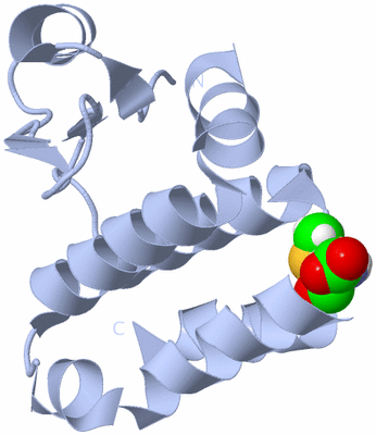 Image Biological Unit 1