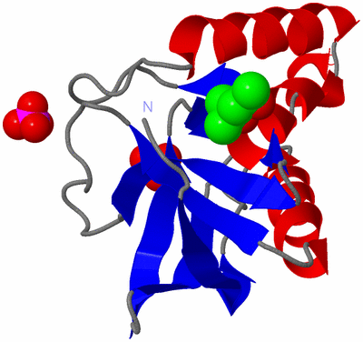 Image Asym./Biol. Unit