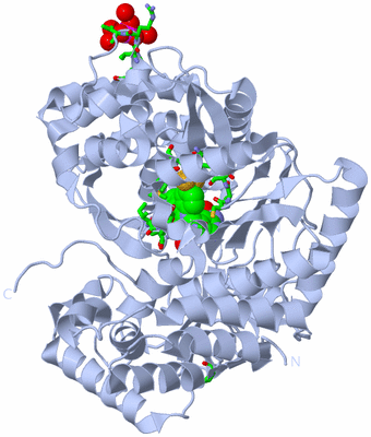 Image Biol. Unit 1 - sites