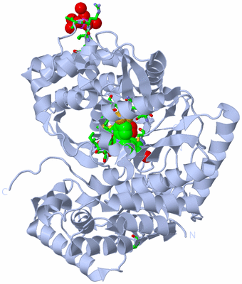 Image Biol. Unit 1 - sites