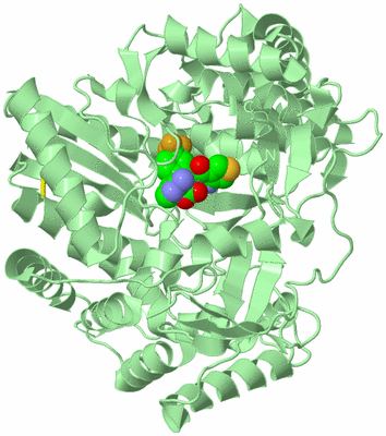 Image Biological Unit 2